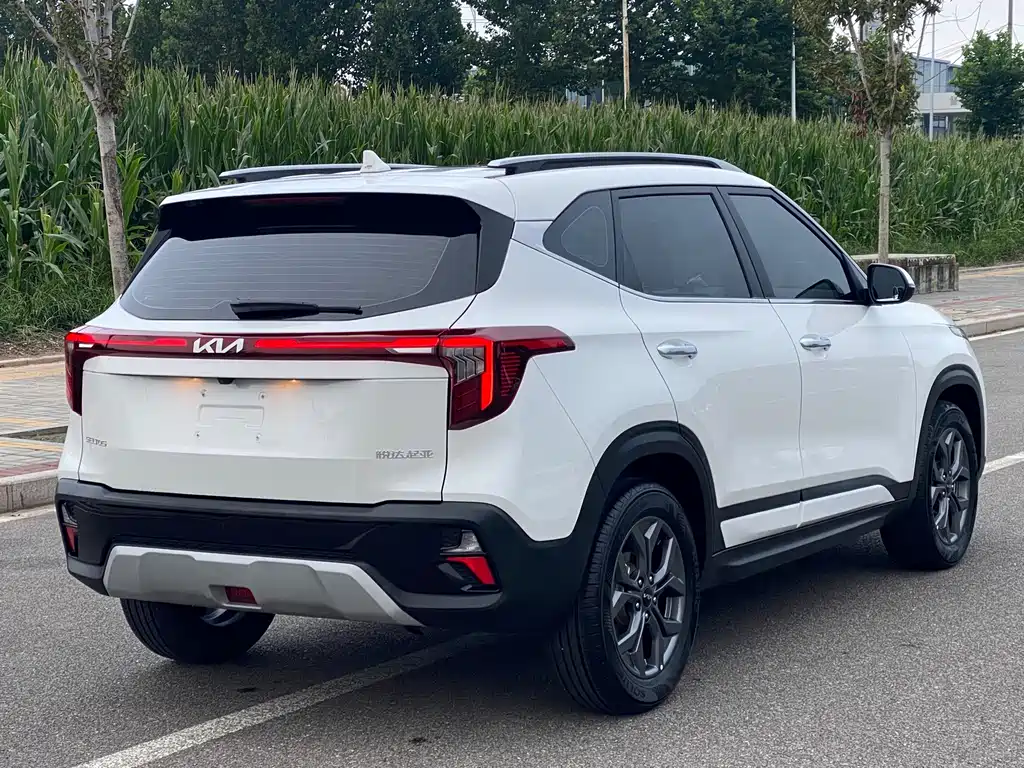 Kia Seltos — миниатюра 12