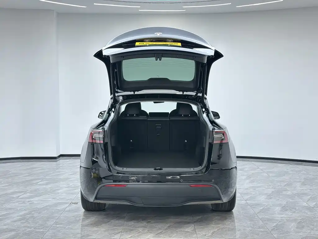 Tesla Model Y — миниатюра 10