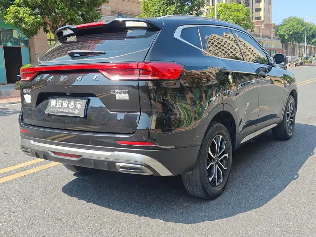 Haval H6 — миниатюра 8