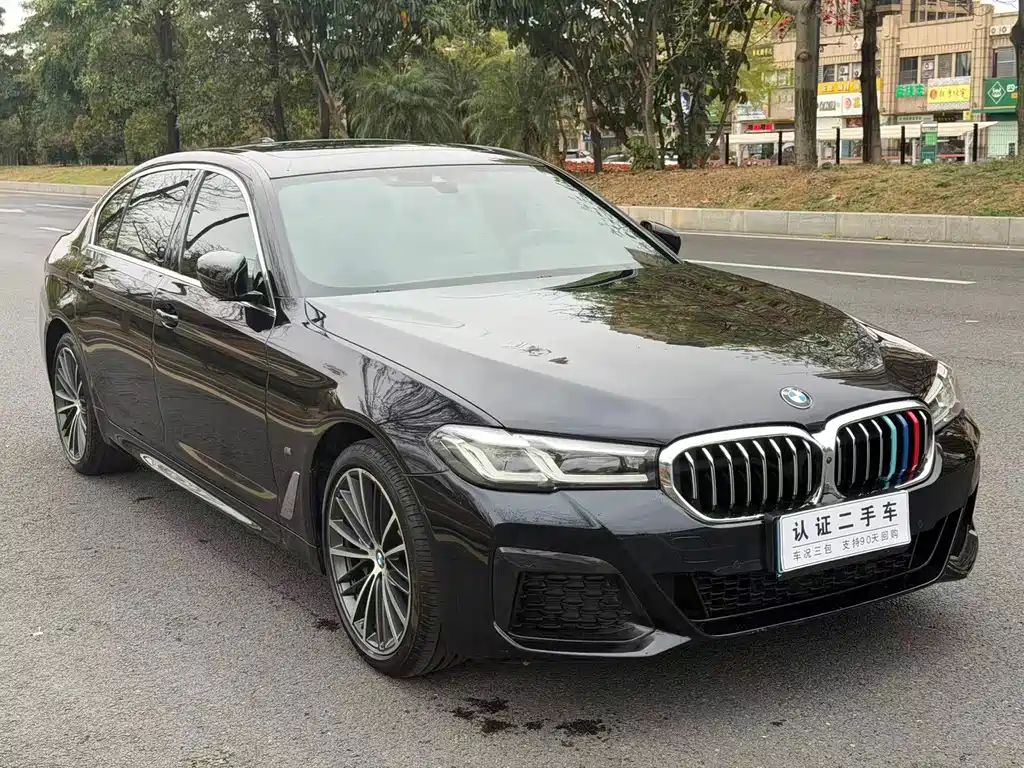 BMW 5 SERIES