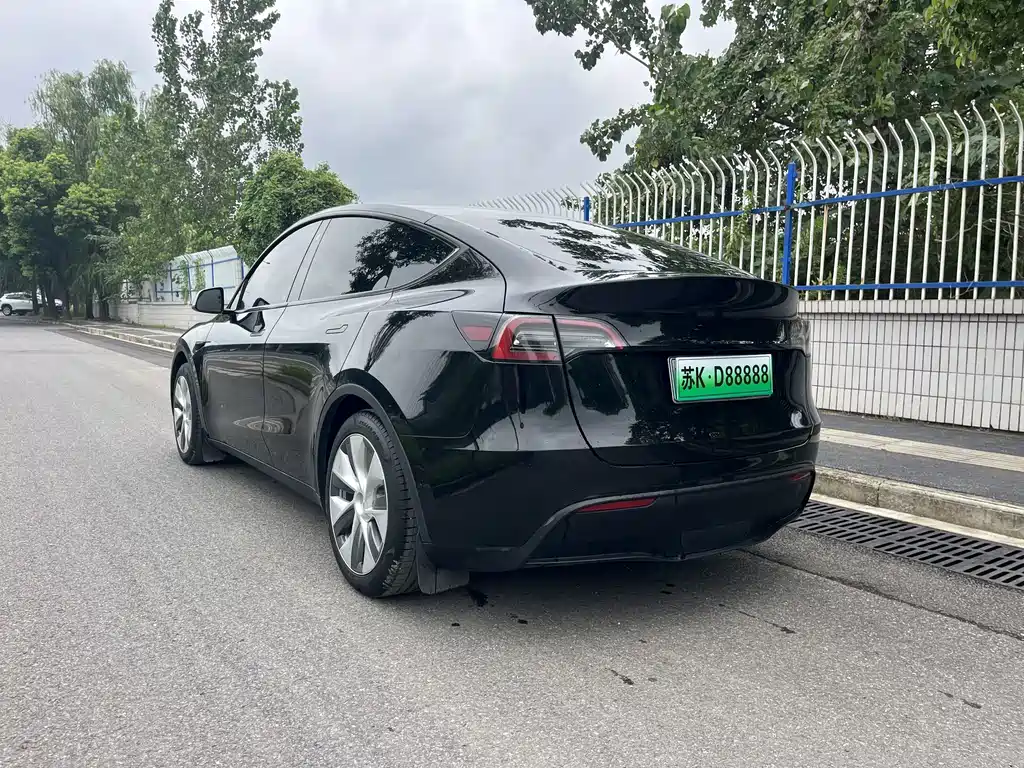 Tesla Model Y — миниатюра 7