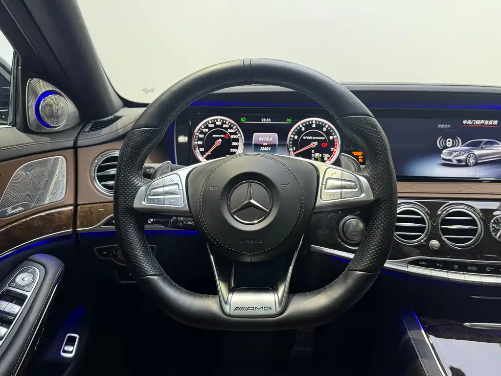 Mercedes-Benz S-Class A MG S AMG 2014 AMG S 65 L