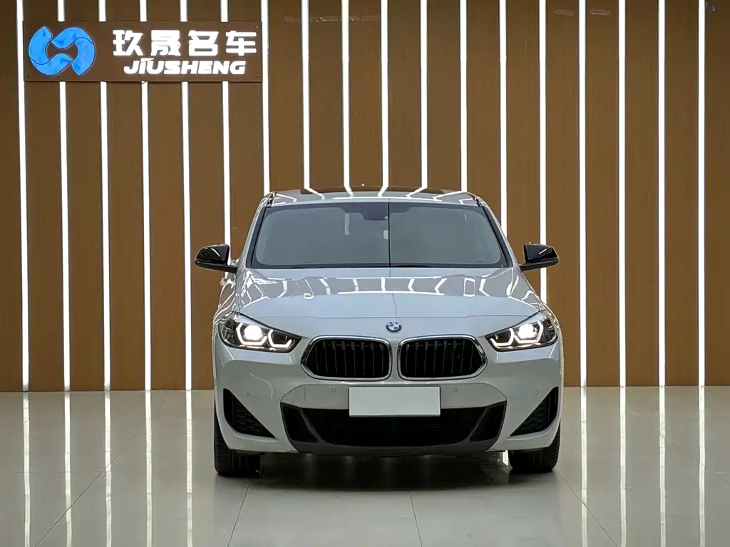 BMW X2 — миниатюра 2