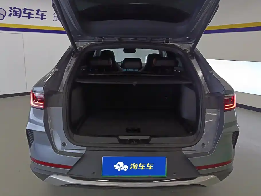 BYD PLUS New Energy — миниатюра 4