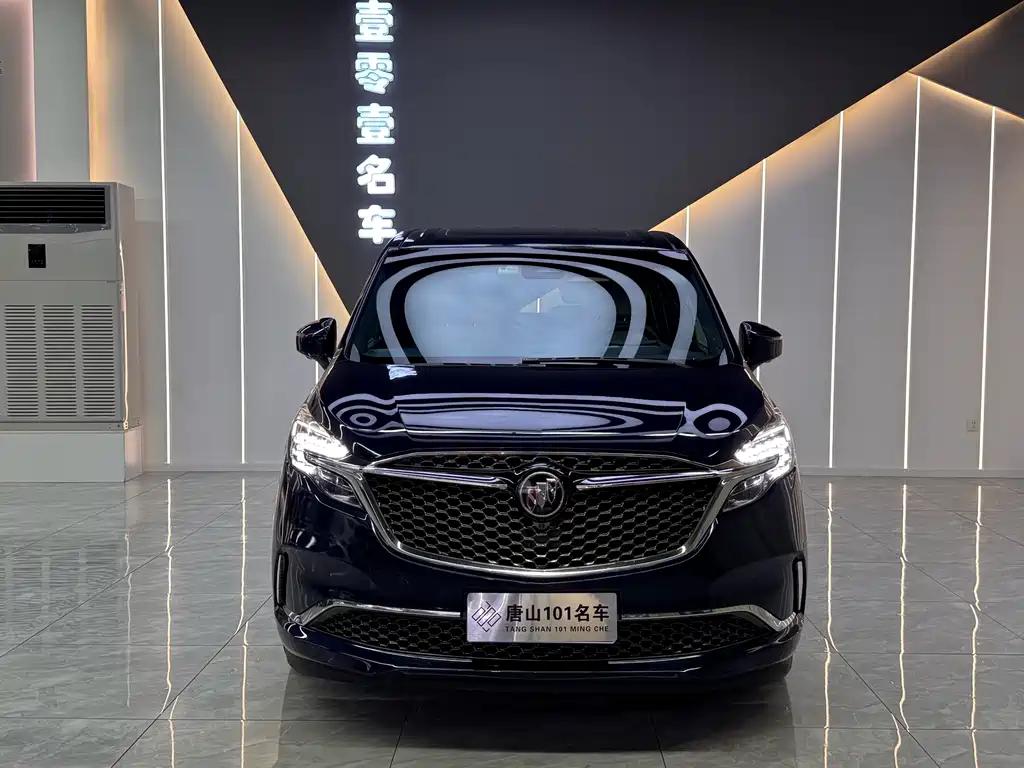 Buick GL8 — миниатюра 2