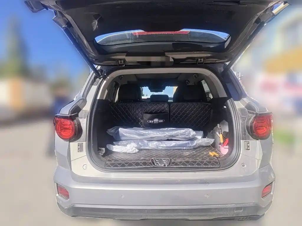 Haval Big Dog PLUS — миниатюра 15
