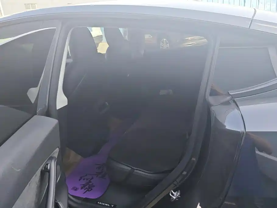 Tesla Model Y — миниатюра 11