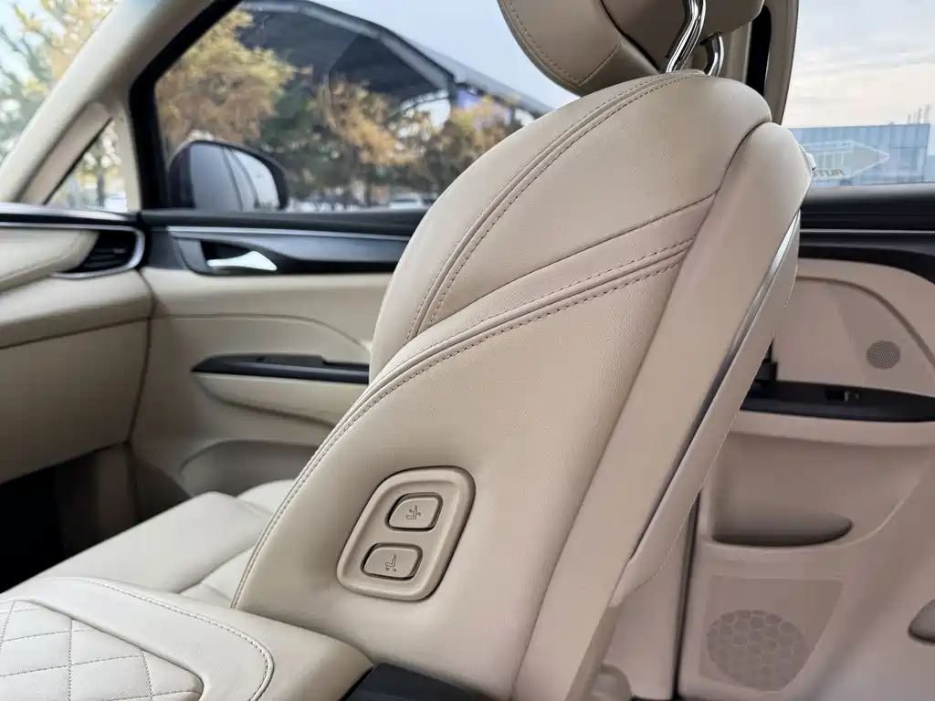Buick GL8 — миниатюра 18
