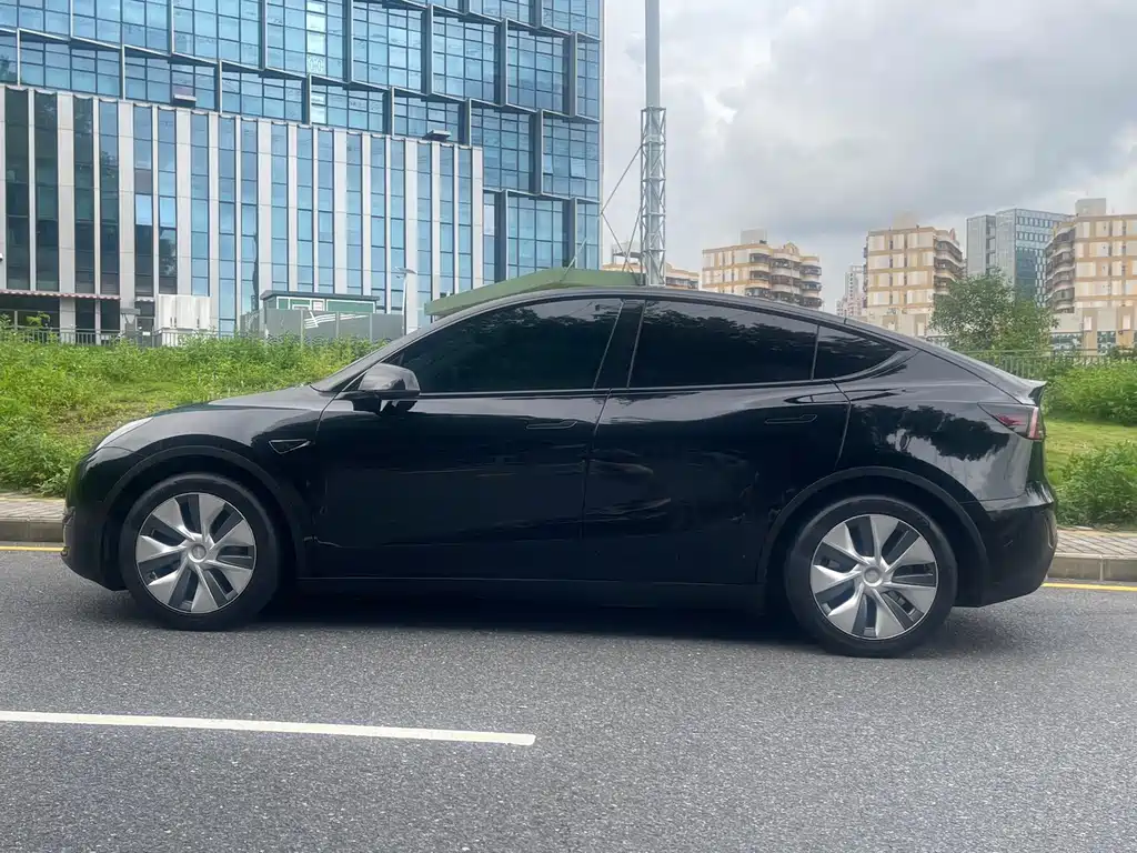 Tesla Model Y — миниатюра 3