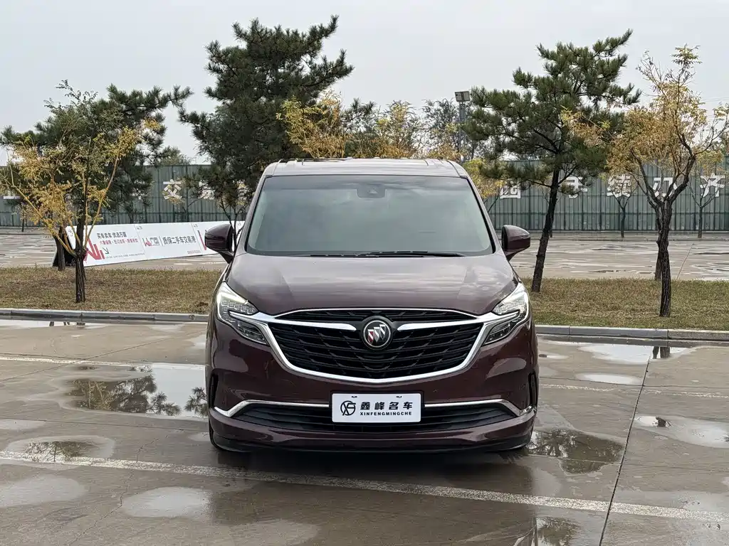 Buick GL8 — миниатюра 2