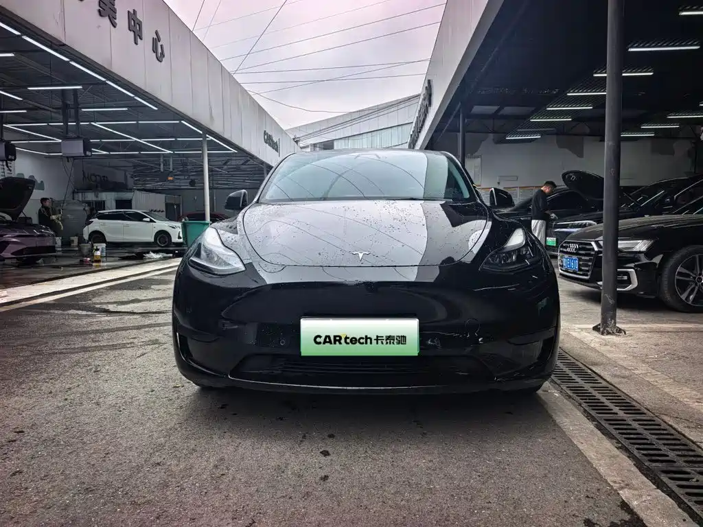 Tesla Model Y — миниатюра 2