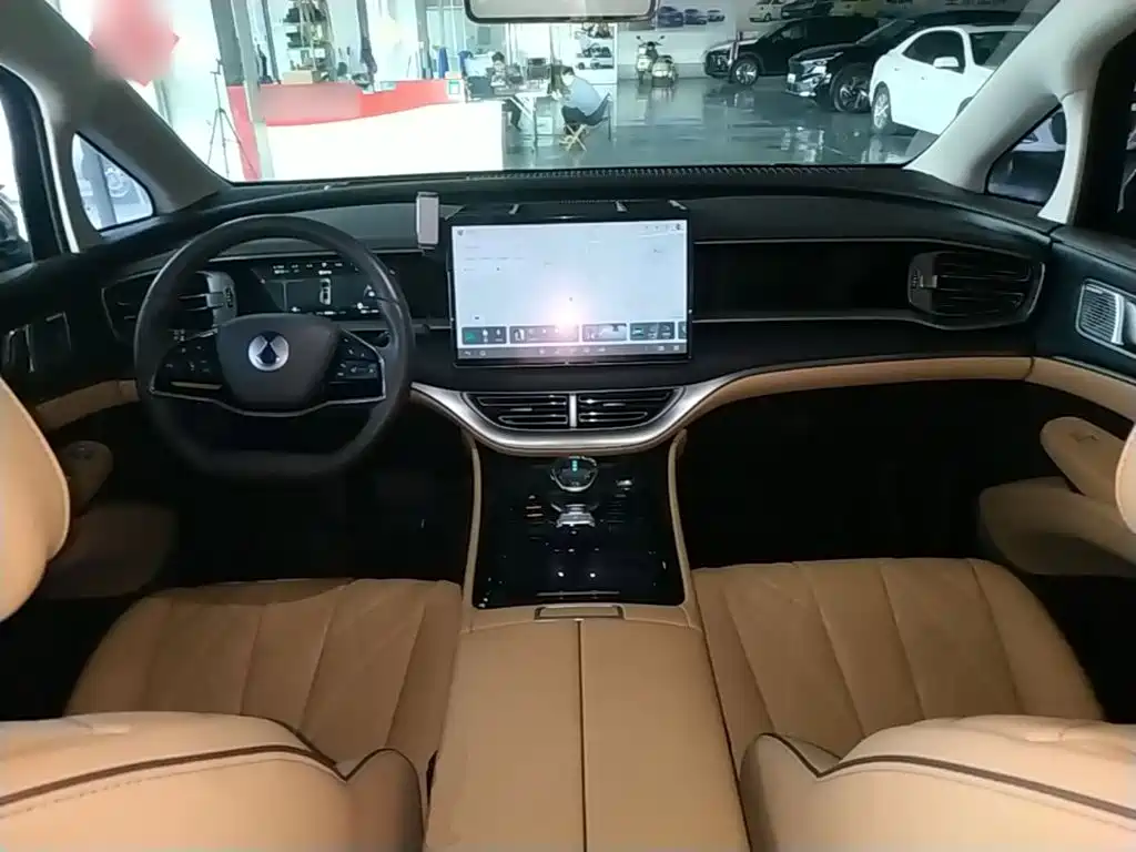 Denza Denza D9 — миниатюра 10