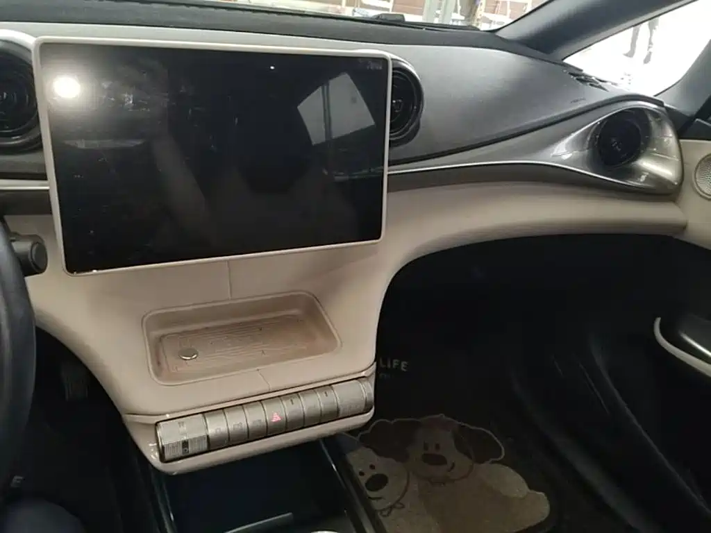 BYD Dolphin — миниатюра 18