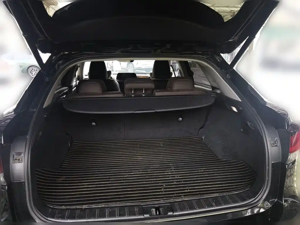 Lexus RX 2020 300 Elegant VI