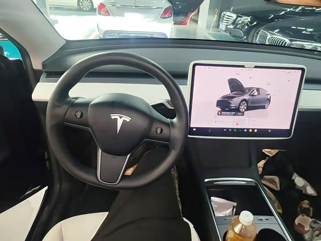 Tesla Model Y — миниатюра 11