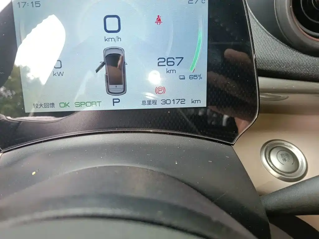 BYD Dolphin — миниатюра 13