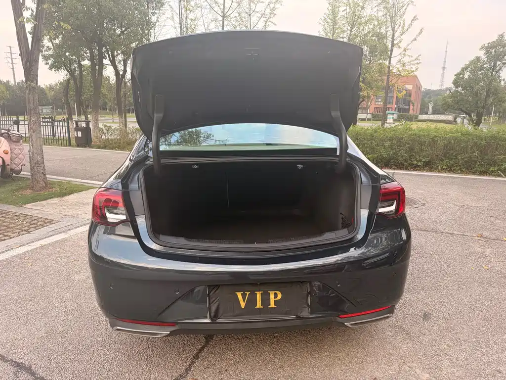 Buick Regal — миниатюра 13
