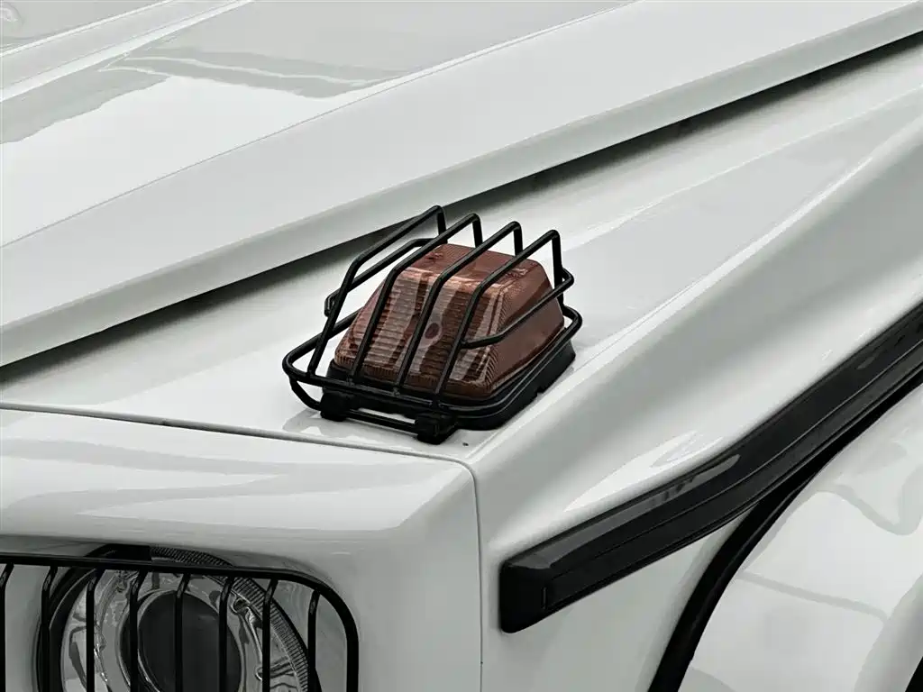 Mercedes-Benz G-Class A MG G AMG 2009 AMG G 55