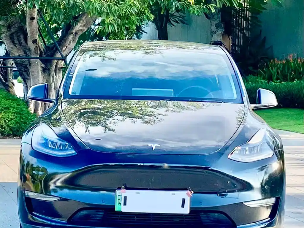 Tesla Model Y — миниатюра 2