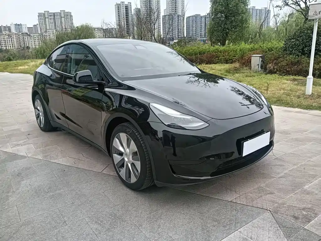 Tesla Model Y — фотографии объявления, Фото 3