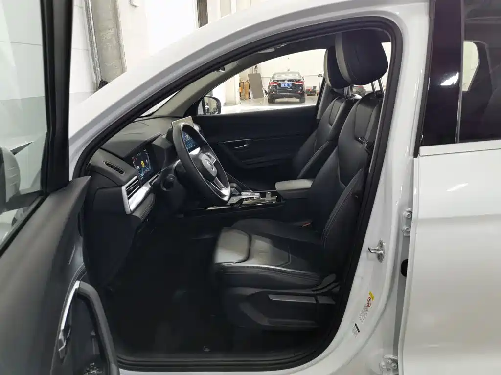 BYD Pro — миниатюра 10