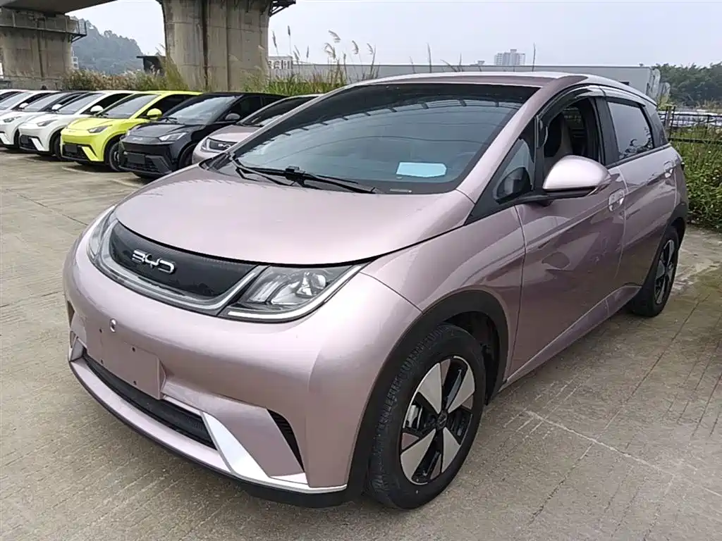 Byd Dolphin 2023