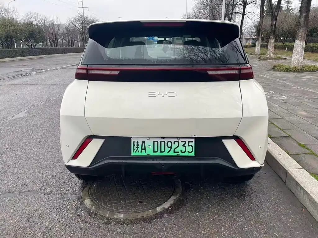 BYD SEAGULL