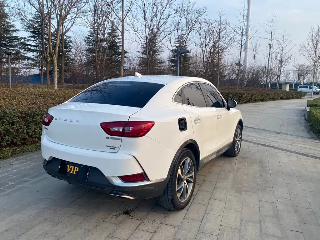 BORGWARD BAOWO BX6