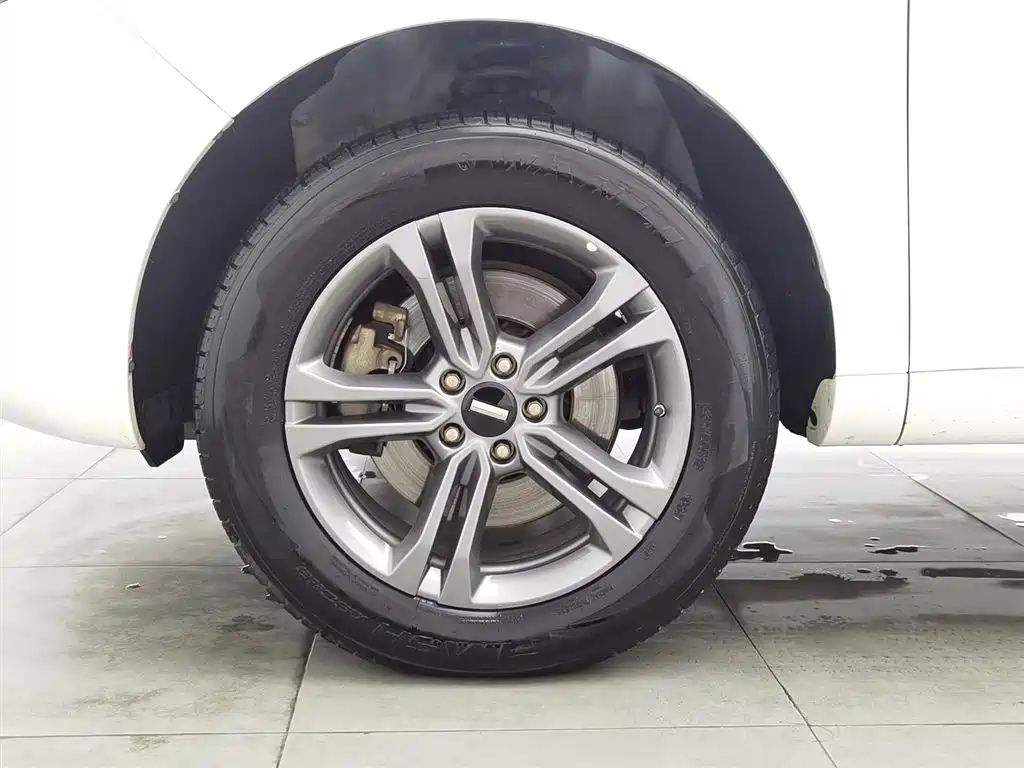 WEI PAI WEI BRAND VV5