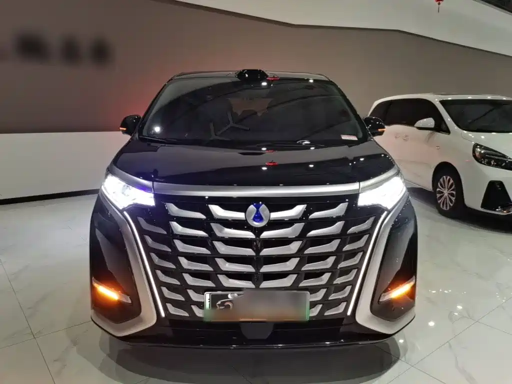 Denza Denza D9 — миниатюра 3