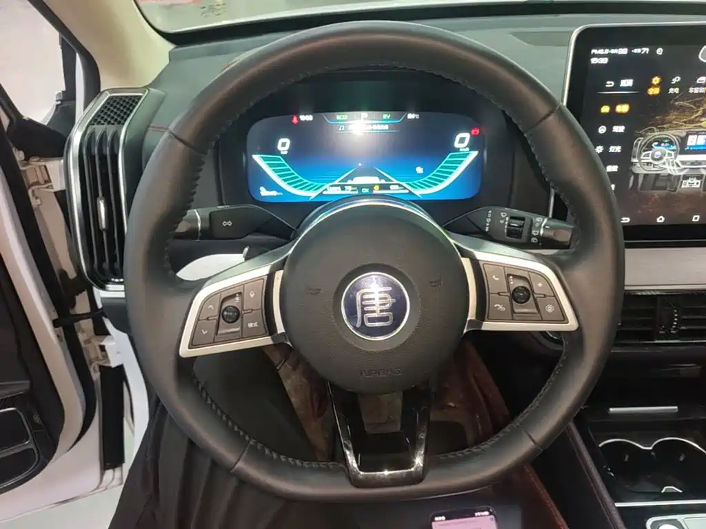 BYD Tang New Energy — миниатюра 11