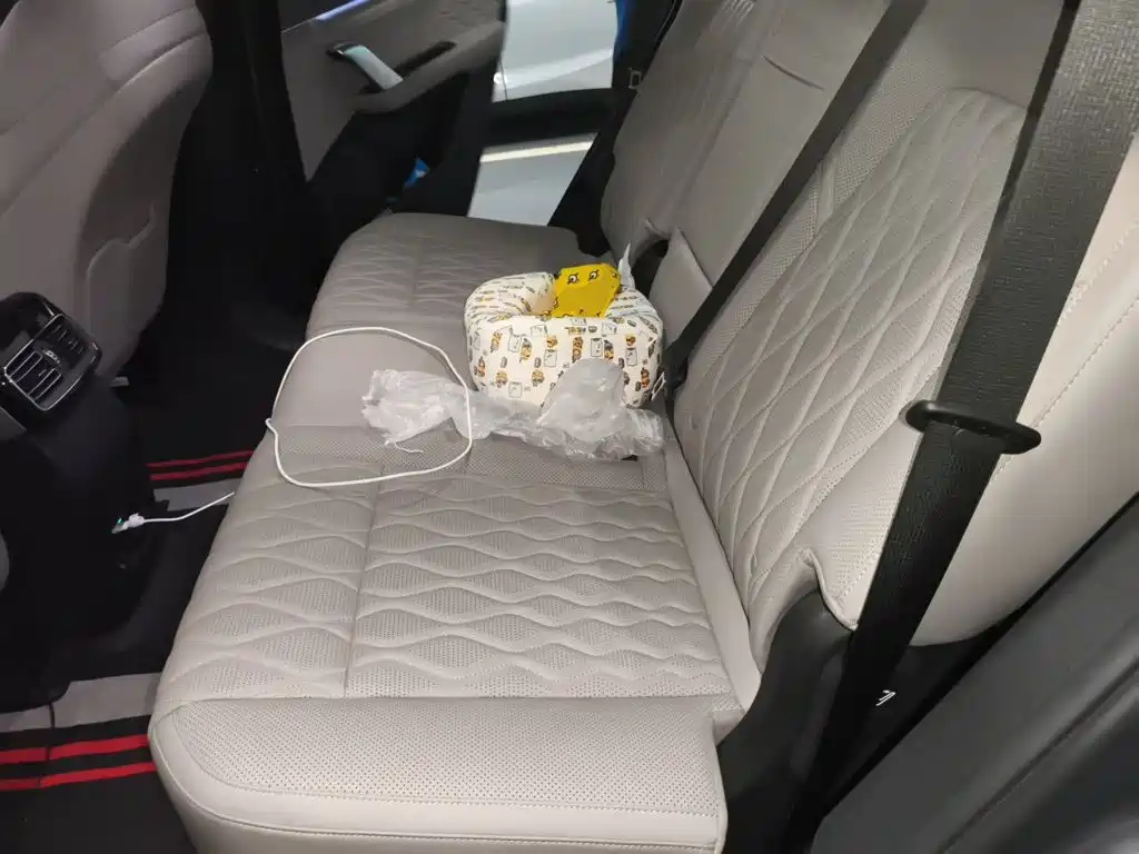 BYD Tang New Energy — миниатюра 18