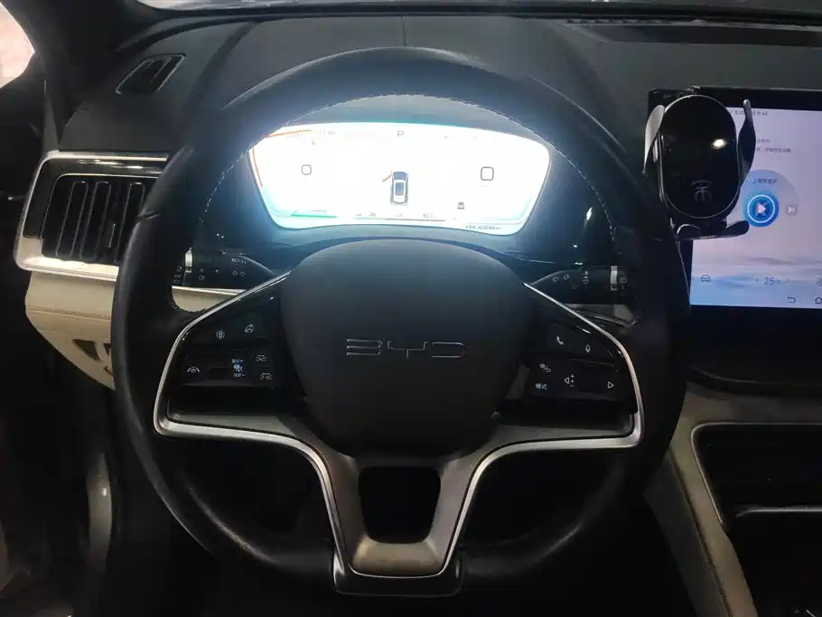 BYD SONGJIANG NEW ENERGY