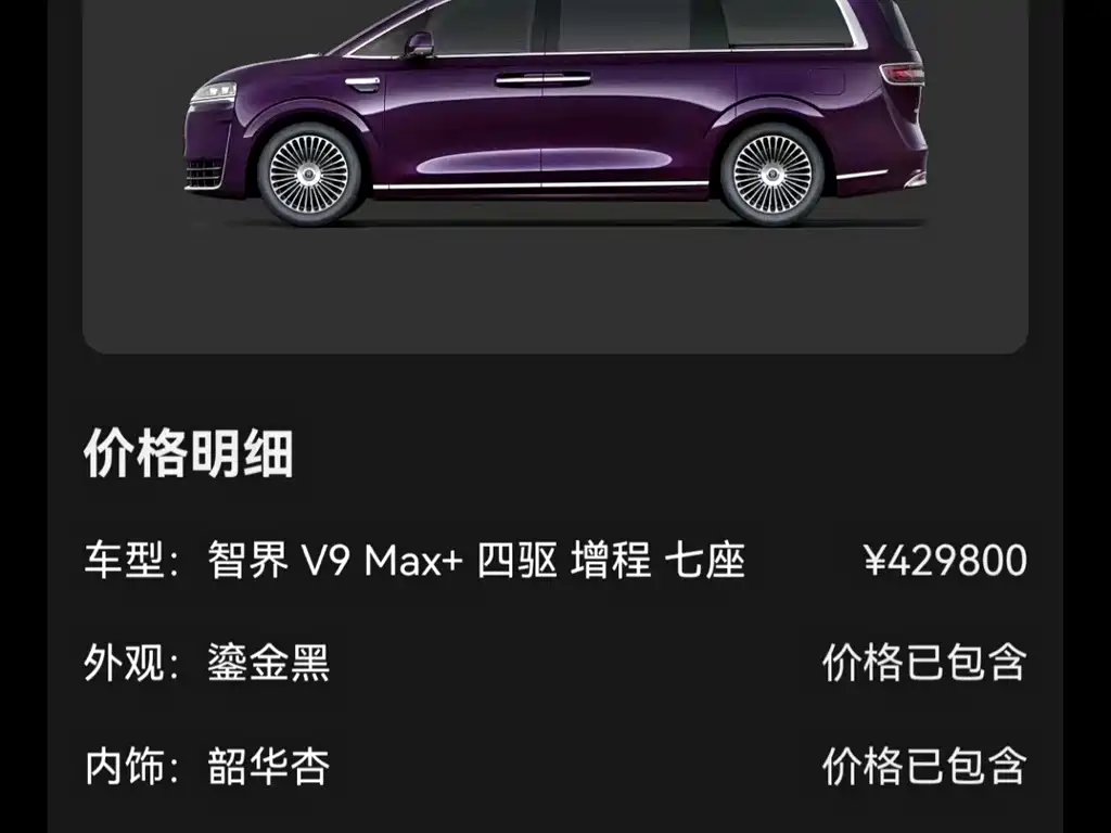 Zhijie Zhijie V9 — миниатюра 10