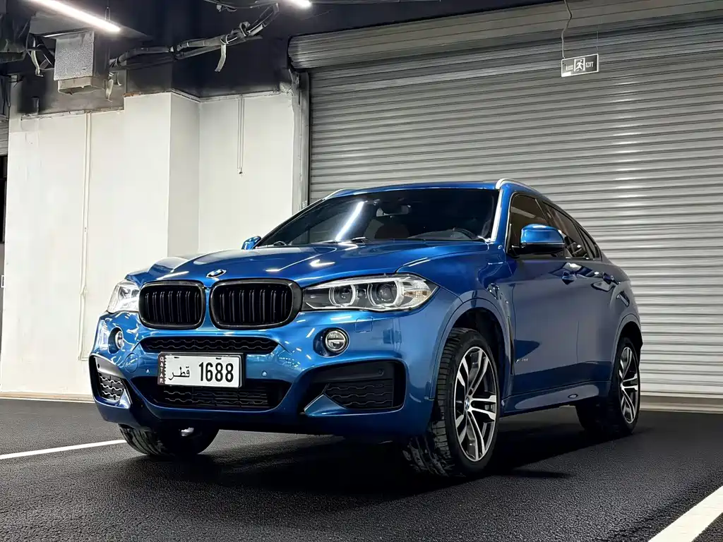 BMW X6