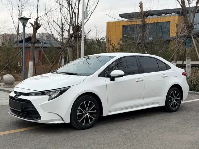 TOYOTA LEI LING 2024