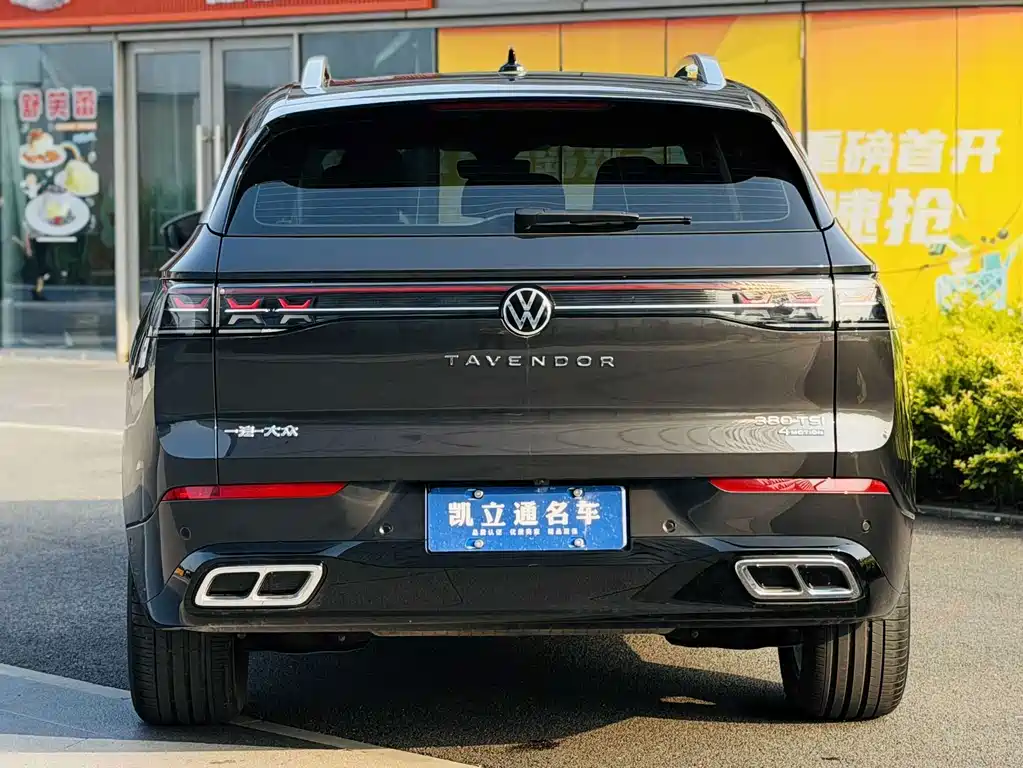 Volkswagen Tavendor — миниатюра 3