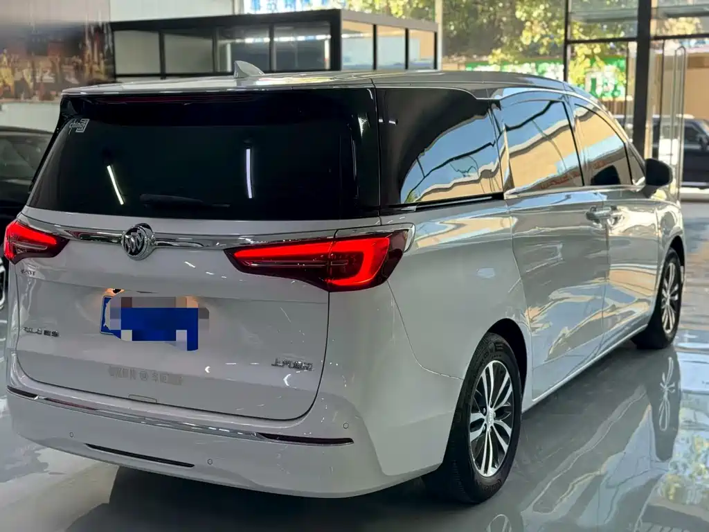 Buick GL8 — миниатюра 9