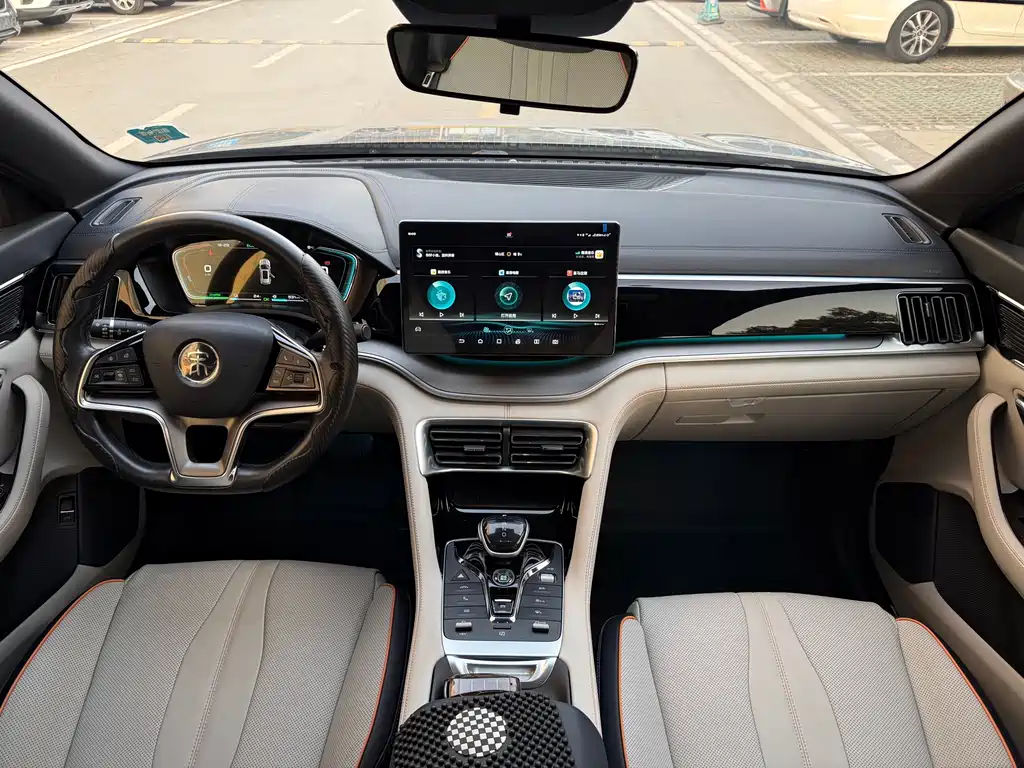 BYD PLUS New Energy - фото 4