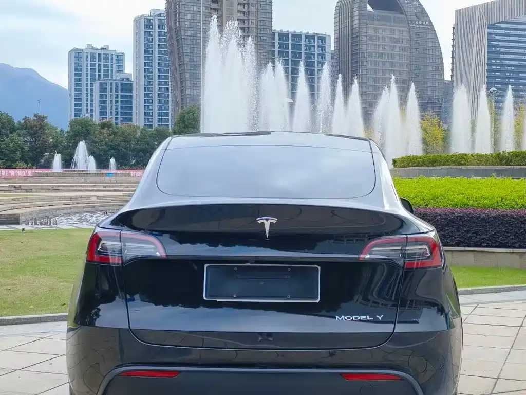 Tesla Model Y — миниатюра 9