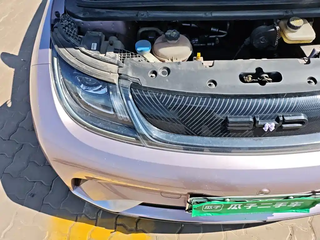 BYD Dolphin — миниатюра 20