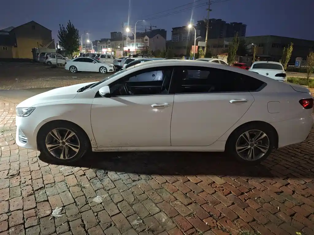 GEELY AUTOMOBILE BINRUI