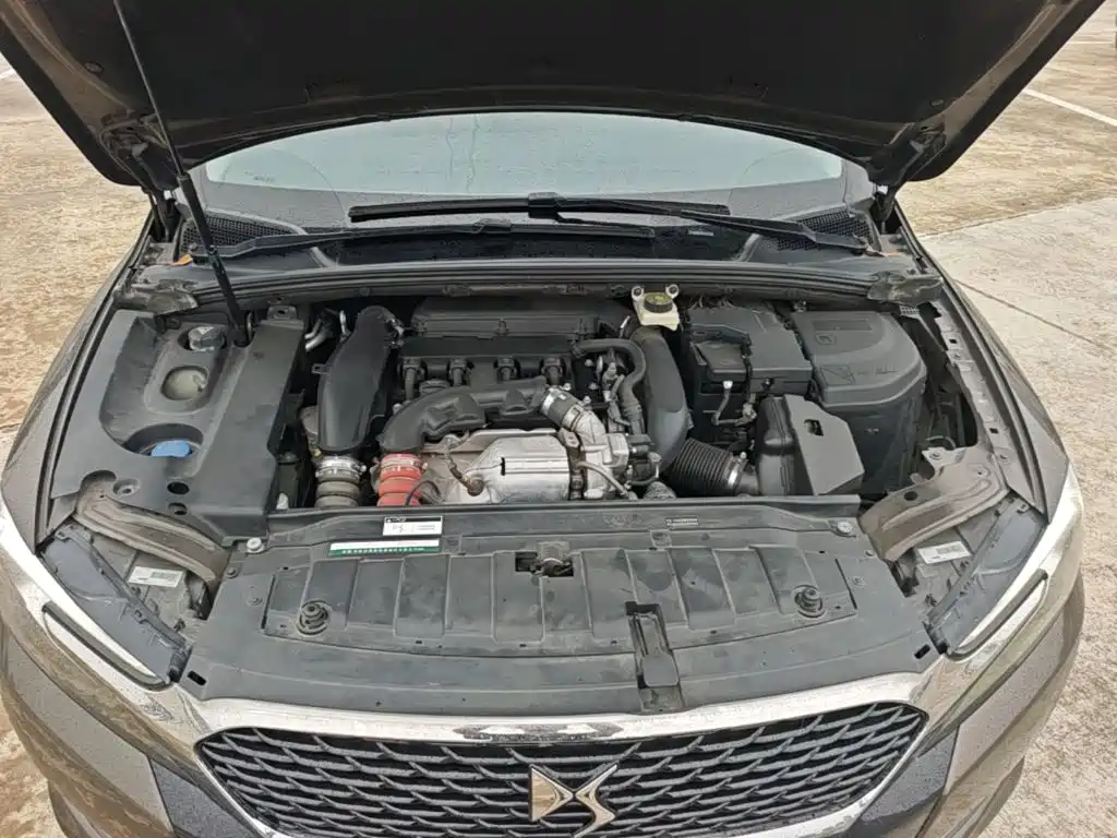 DS DS 5LS — миниатюра 20