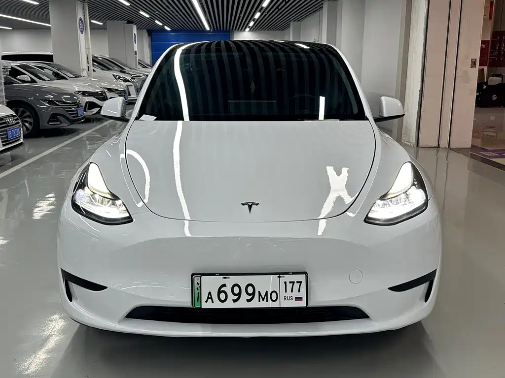 Tesla Model Y — миниатюра 2