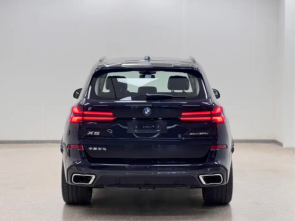 BMW X5 — миниатюра 4