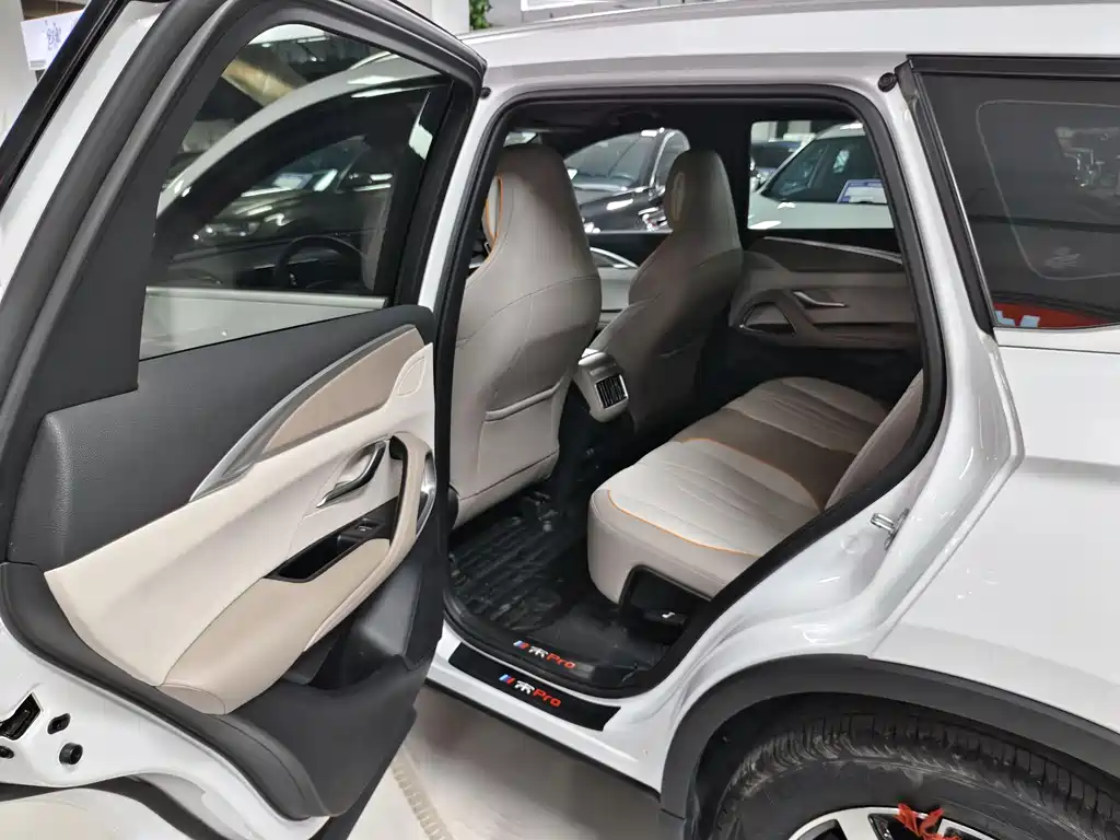 BYD SONGJIANG NEW ENERGY