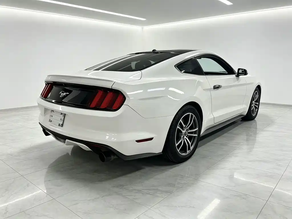 Ford Mustang — миниатюра 12
