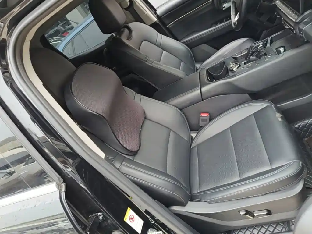 Haval Big Dog PLUS New Energy — миниатюра 25