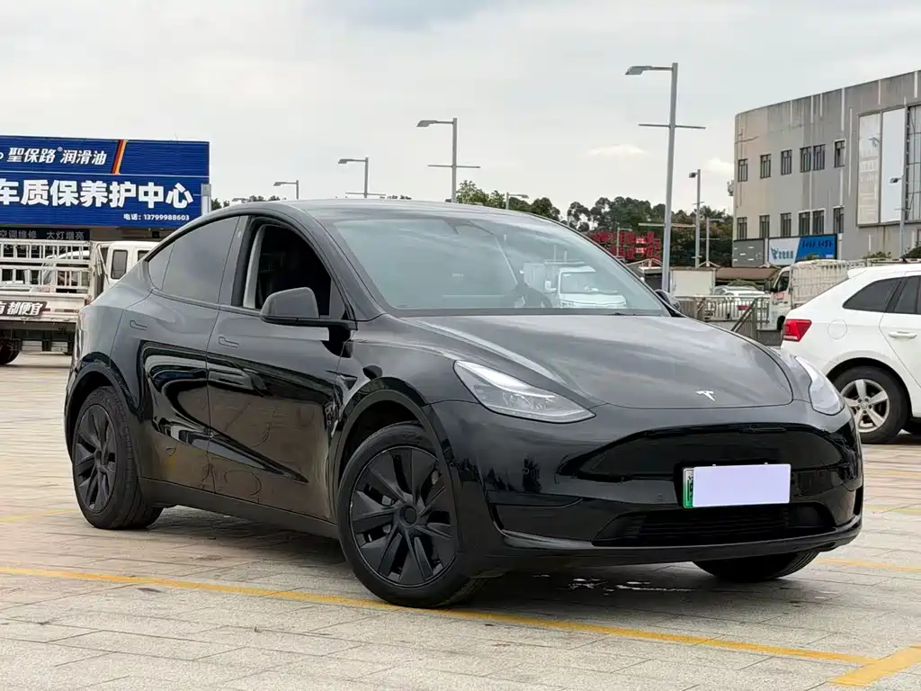 Tesla Model Y — миниатюра 2