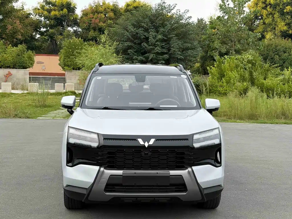 Wuling Xingguang 560 — миниатюра 2